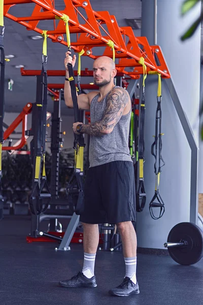 Athletic man doing trx exercises