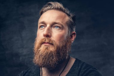 Kızıl saçlı sakallı erkek gri arka plan üzerinde.