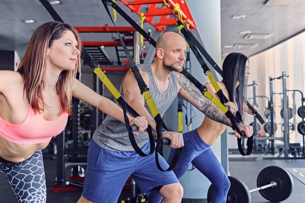 Hommes et femmes faisant des exercices trx — Photo