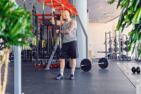 Man doing trx straps exercises