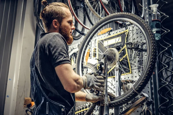 Mechaniker entfernt Fahrradkassette hinten — Stockfoto