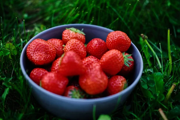 Läckra jordgubbar i en kopp — Stockfoto