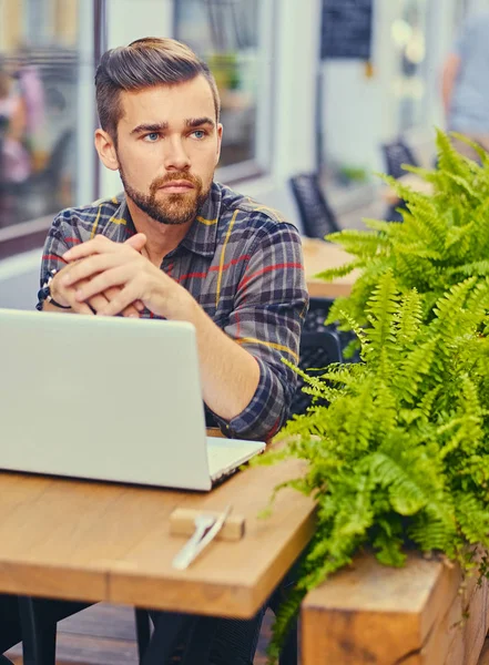 Blue eyed, bearded male using a laptop — Stock Photo, Image