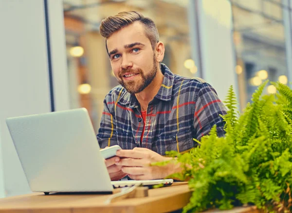 Blue eyed, bearded male using a laptop — Stock Photo, Image