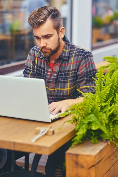 Kék szemű, szakállas férfi használ egy laptop — Stock Fotó