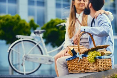 Bir çift ile piknik sepeti 