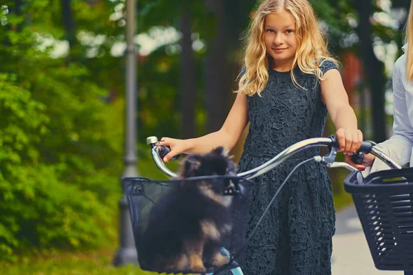 Blond meisje op een fiets en een hond Spitz — Stockfoto