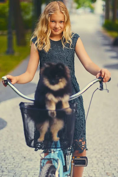 Blond meisje op een fiets en een hond Spitz — Stockfoto