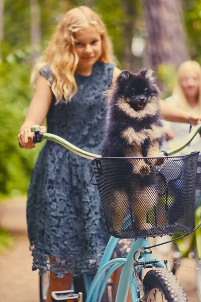 Chica rubia en bicicleta y un perro Spitz —  Fotos de Stock