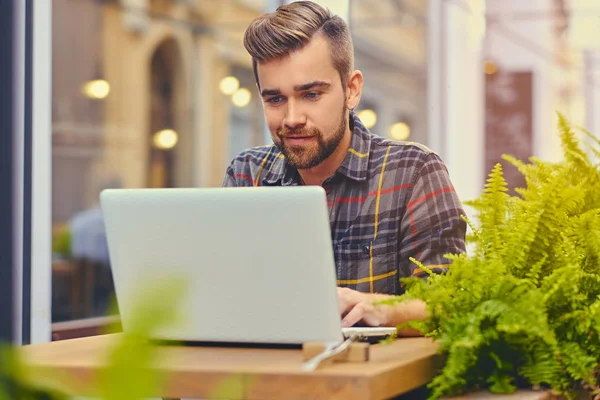 Homem barbudo usando um laptop em um café — Fotografia de Stock