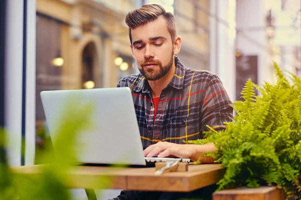 Szakállas férfi használ egy laptop egy kávézóban — Stock Fotó