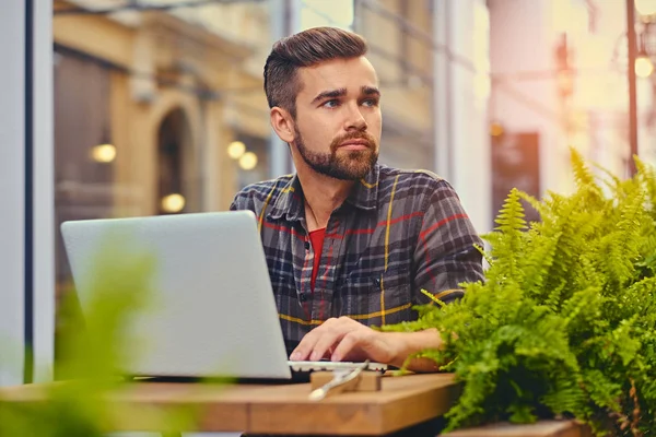 Szakállas férfi használ egy laptop egy kávézóban — Stock Fotó