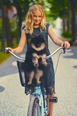 Sepet içinde Spitz köpek ile sarışın kız