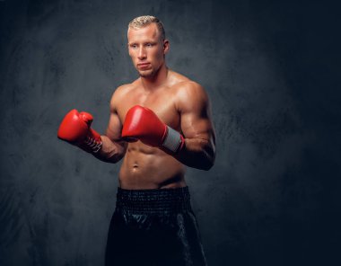 Gömleksiz tekme boksör bir stüdyoda