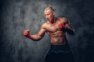 Gömleksiz tekme boksör bir stüdyoda