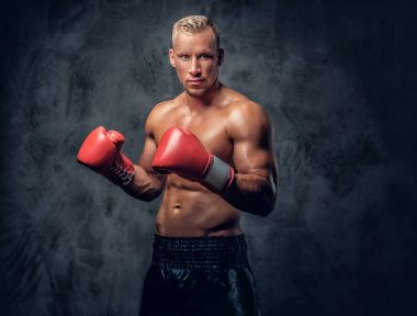 Gömleksiz tekme boksör 