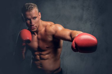 Gömleksiz tekme boksör 