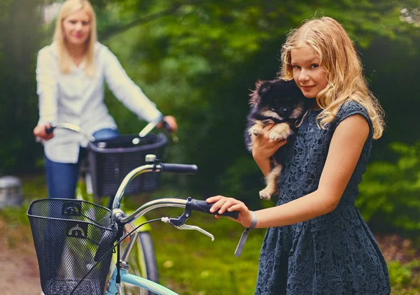 Blond flicka innehar en Spitz hund — Stockfoto