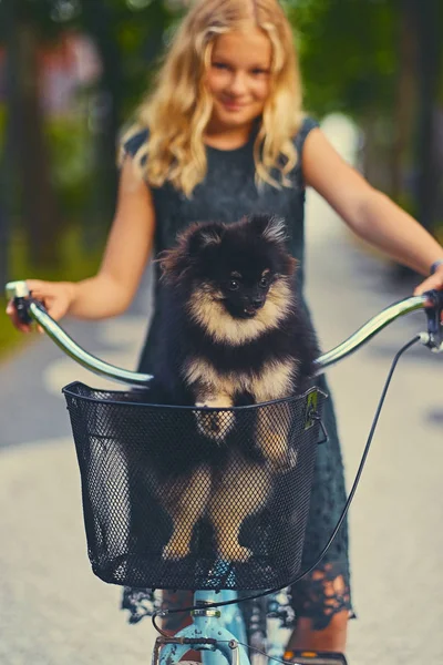 Chica rubia con perro Spitz en una cesta — Foto de Stock