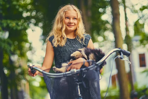 Blond flicka med Spitz hund i en korg — Stockfoto