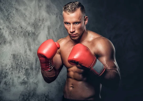 Boxeador de patadas sin camisa —  Fotos de Stock