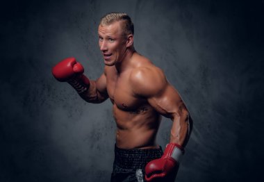 Shirtles boksör gri arka plan üzerinde