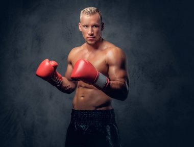 Shirtles boksör gri arka plan üzerinde