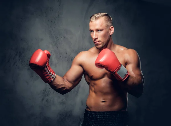 Shirtless kick boxer showing his punches — Stock Photo, Image