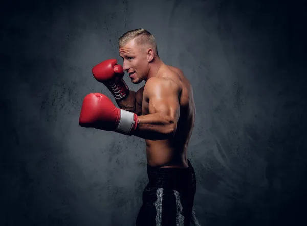 Shirtles boxer över grå bakgrund — Stockfoto