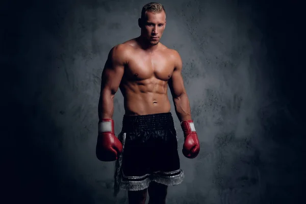 Shirtles boxer över grå bakgrund — Stockfoto