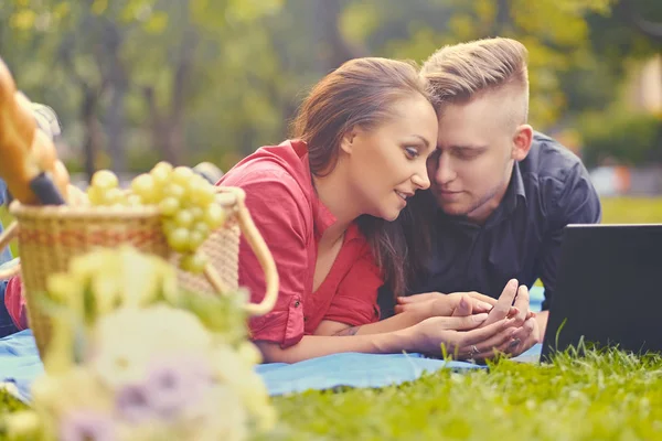 Atractiva pareja usando un portátil en un picnic —  Fotos de Stock