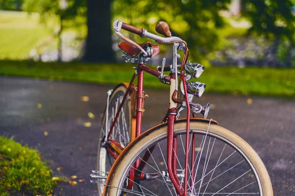 Retro fiets in een park — Stockfoto