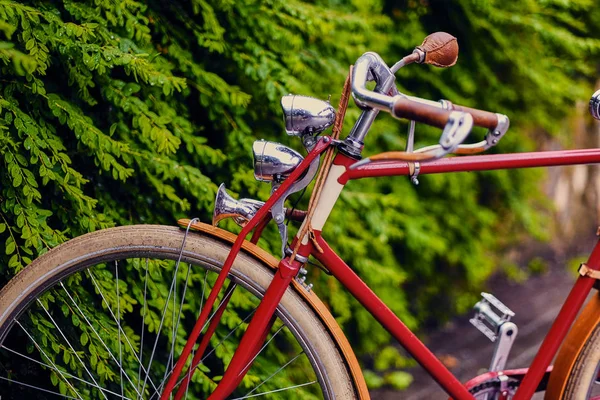 Retro bicycle in a park — Stock Photo, Image