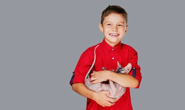 Menino segura um gato . — Fotografia de Stock