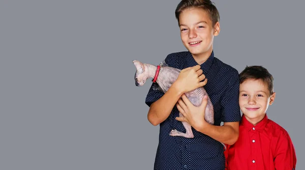 Two teenage boys hold a cat. — Stock Photo, Image