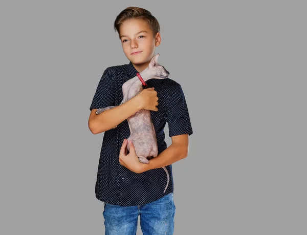 Kleine jongen houdt een kat. — Stockfoto