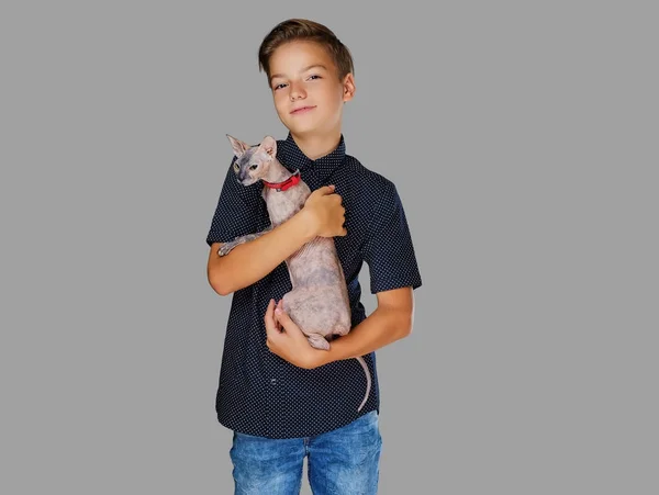 Little boy holds a cat. — Stock Photo, Image