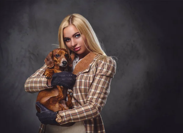Rubia hembra sostiene tejón perro —  Fotos de Stock