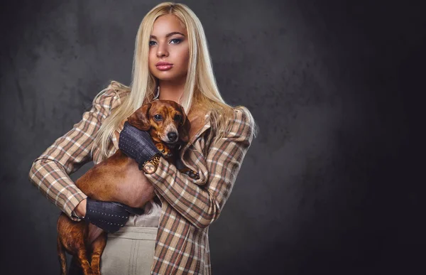 Elegante rubia hembra sostiene perro —  Fotos de Stock