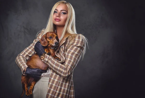 Dişi kırmızı porsuk köpek tutar.