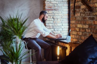 Şık sakallı erkek ile bir dizüstü bilgisayar çalışır.