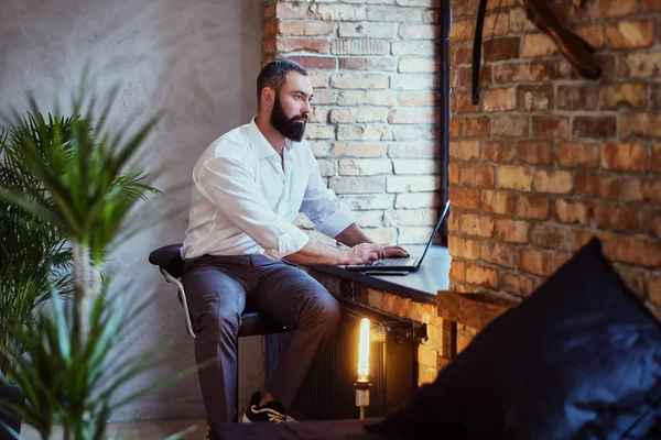 Elegante hombre barbudo trabaja con un ordenador portátil . — Foto de Stock