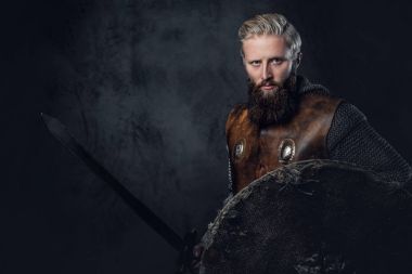 Sanatsal İskandinavyalı Viking portresi
