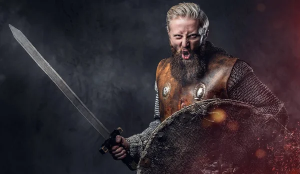 Studio πορτρέτο του ένα αρσενικό Viking — Φωτογραφία Αρχείου