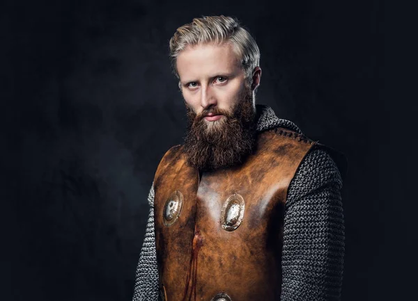 Studio portret van een mannelijke Viking — Stockfoto