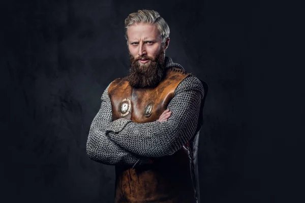 Retrato de estudio de un vikingo masculino —  Fotos de Stock