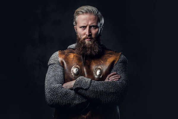 Studio portret męski Viking — Zdjęcie stockowe