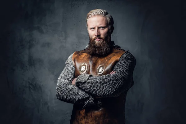 Retrato de estudio de un vikingo masculino —  Fotos de Stock