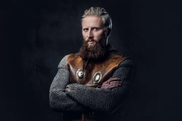 Retrato de estudio de un vikingo masculino — Foto de Stock