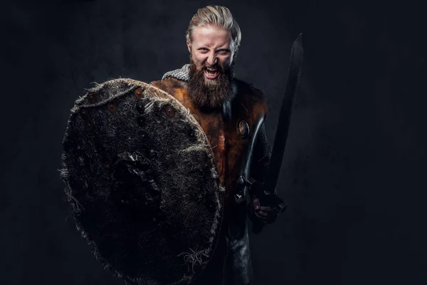 Viking gekleed in Nordic armor — Stockfoto